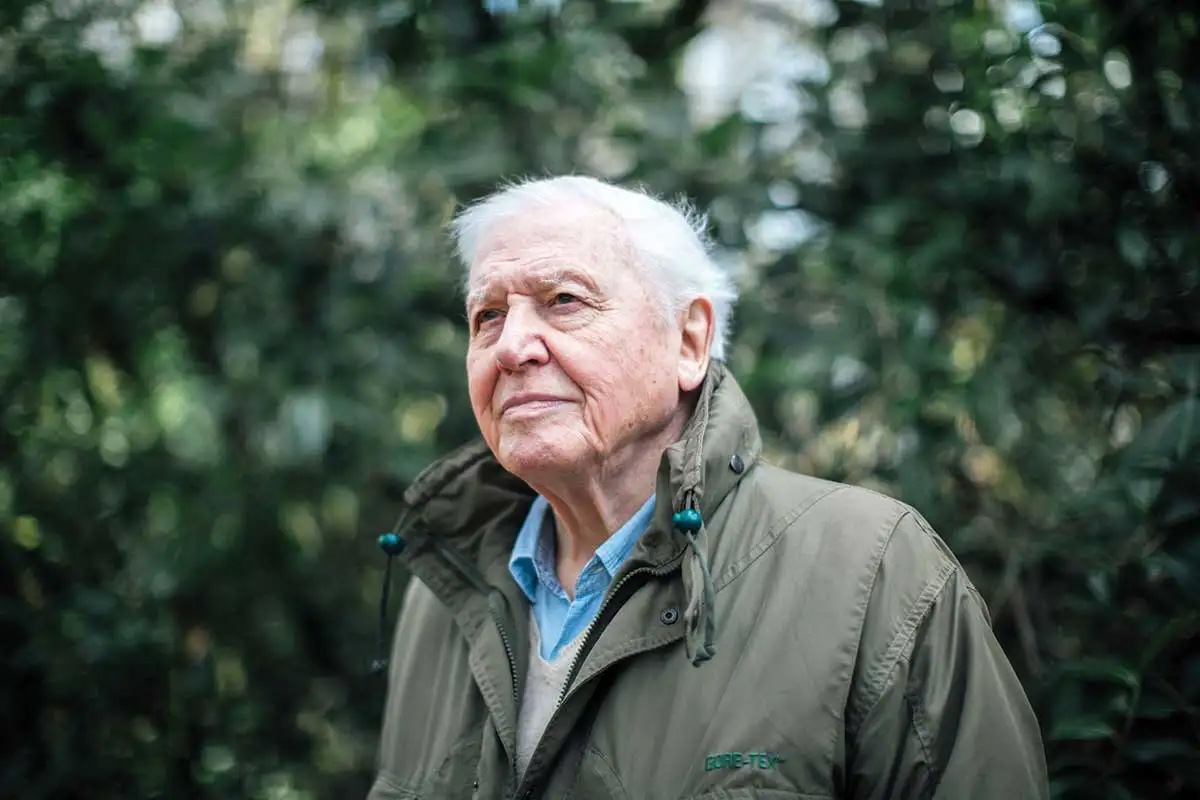 24 interesting facts about David Attenborough