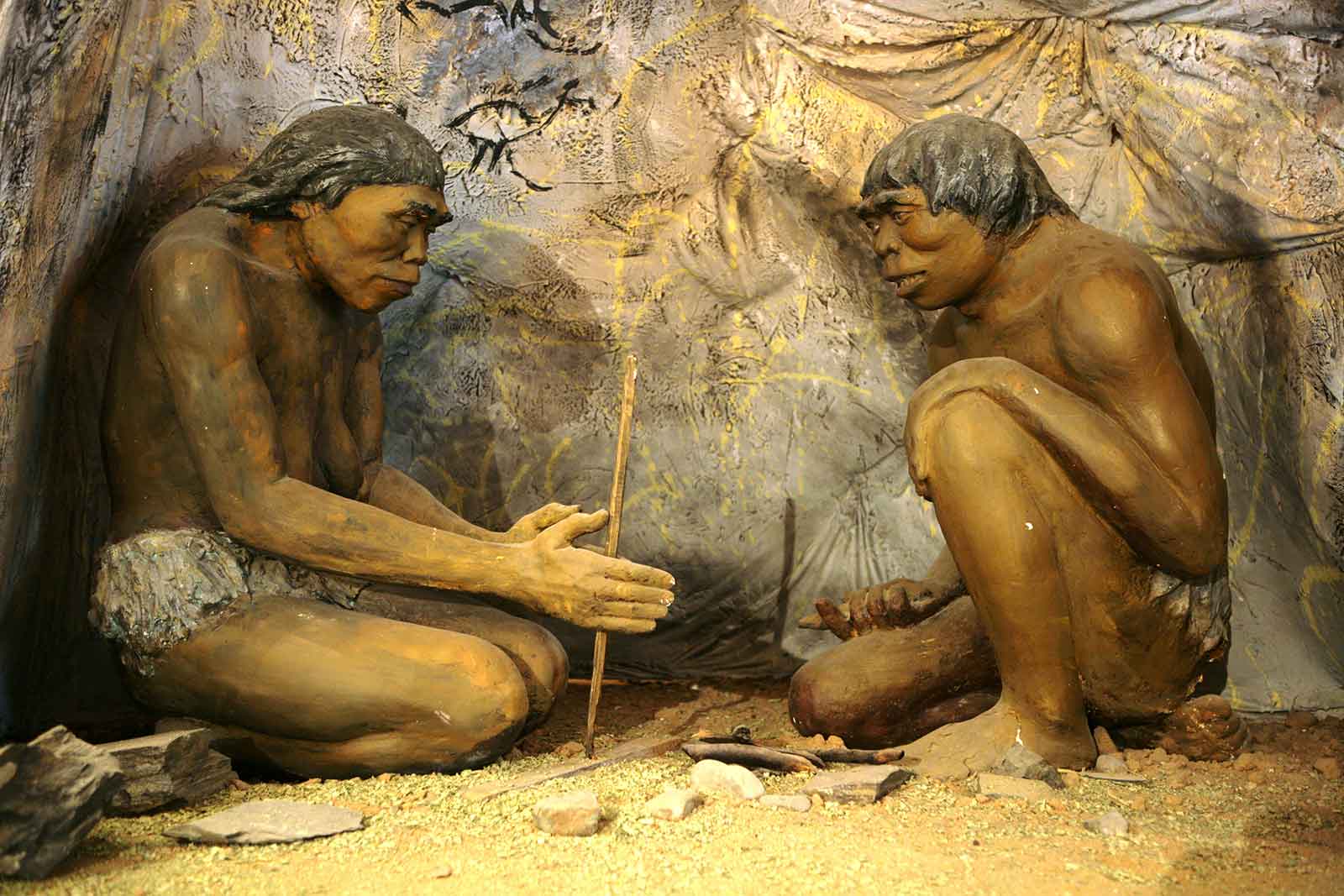 20 interesting facts about Stone Age