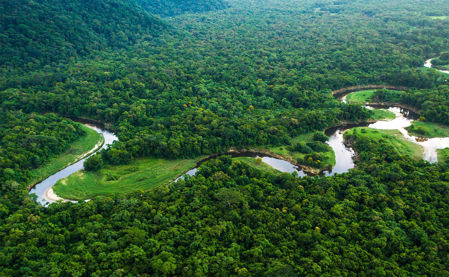 20 interesting facts about Amazon rainforest