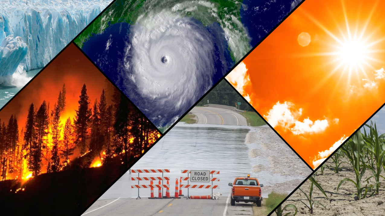 15 interesting facts about climate change