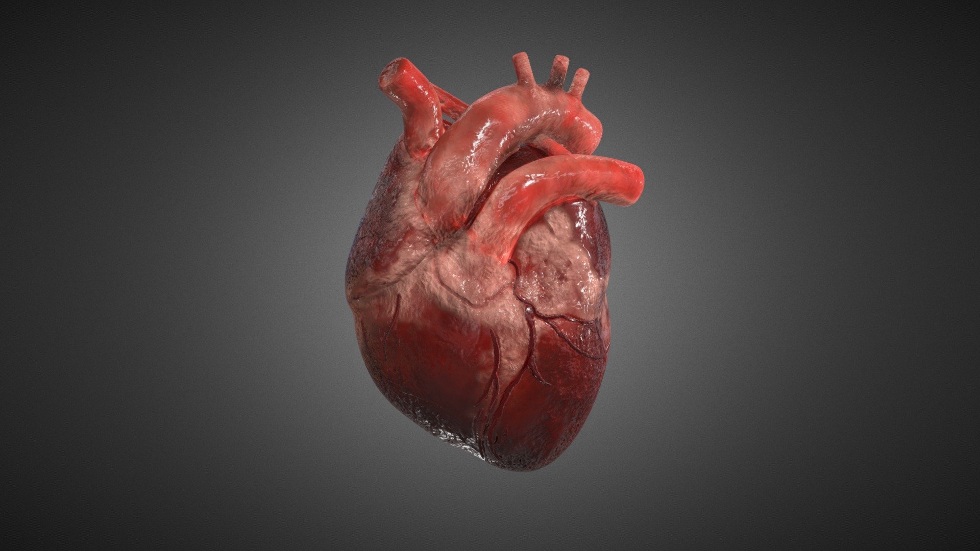 21 interesting facts about heart