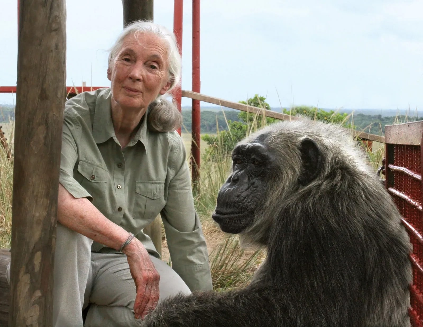 20 interesting facts about Jane Goodall