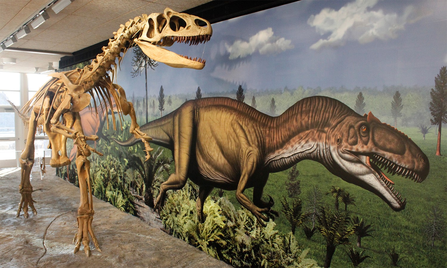 28 interesting facts about Allosaurus