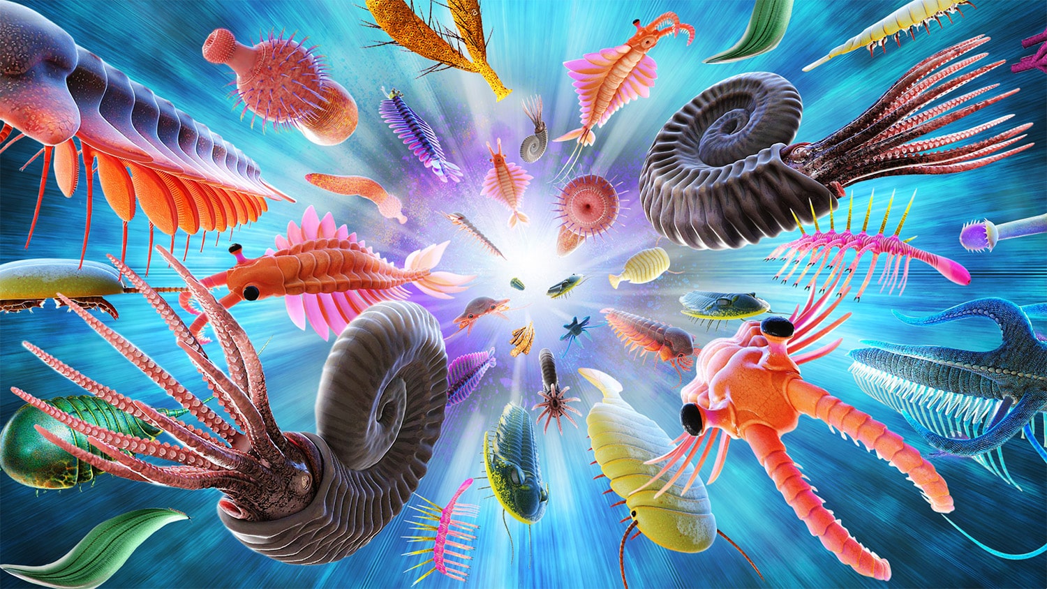 26 interesting facts about Cambrian Explosion
