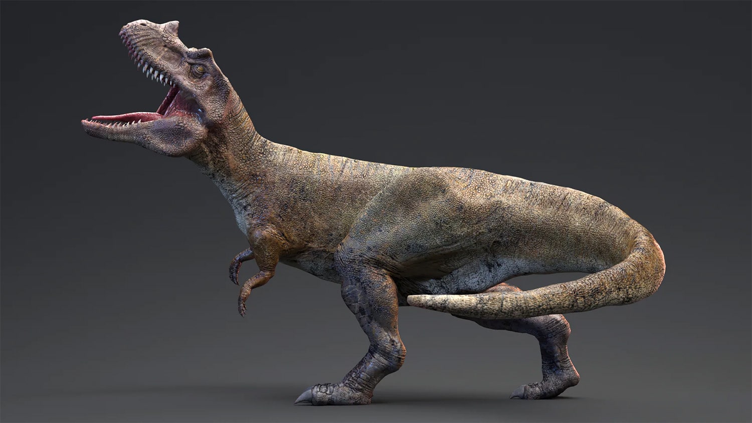 27 interesting facts about Ceratosaurus