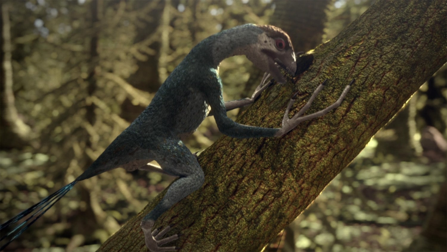 20 interesting facts about Epidexipteryx