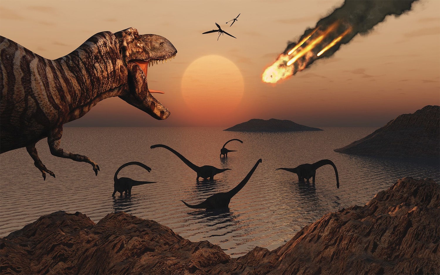 20 interesting facts about Mass Extinctions