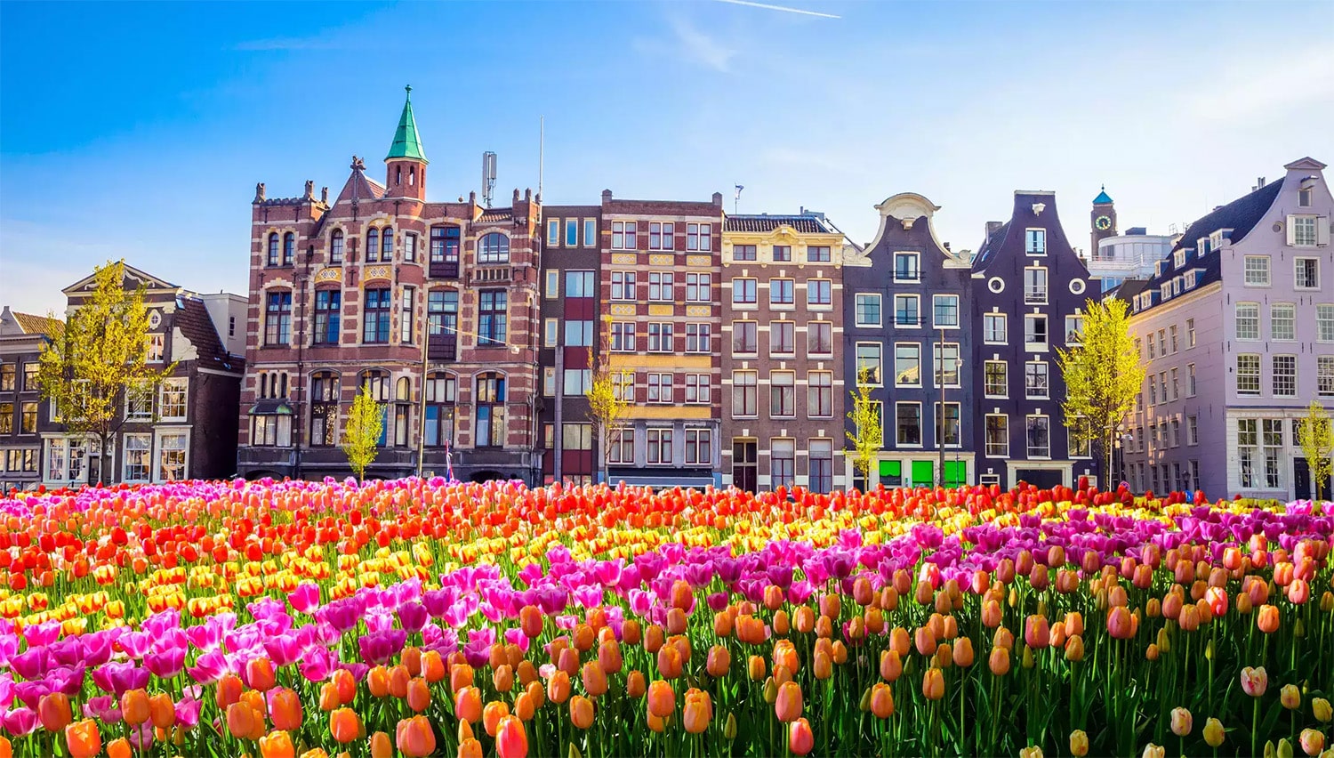 26 interesting facts about Netherlands