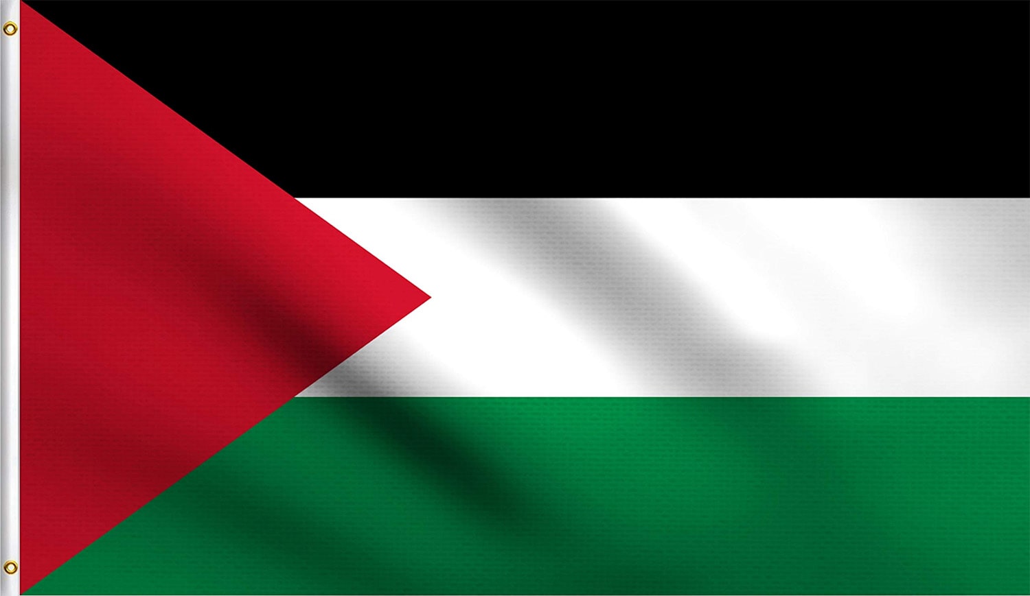 22 interesting facts about Palestine