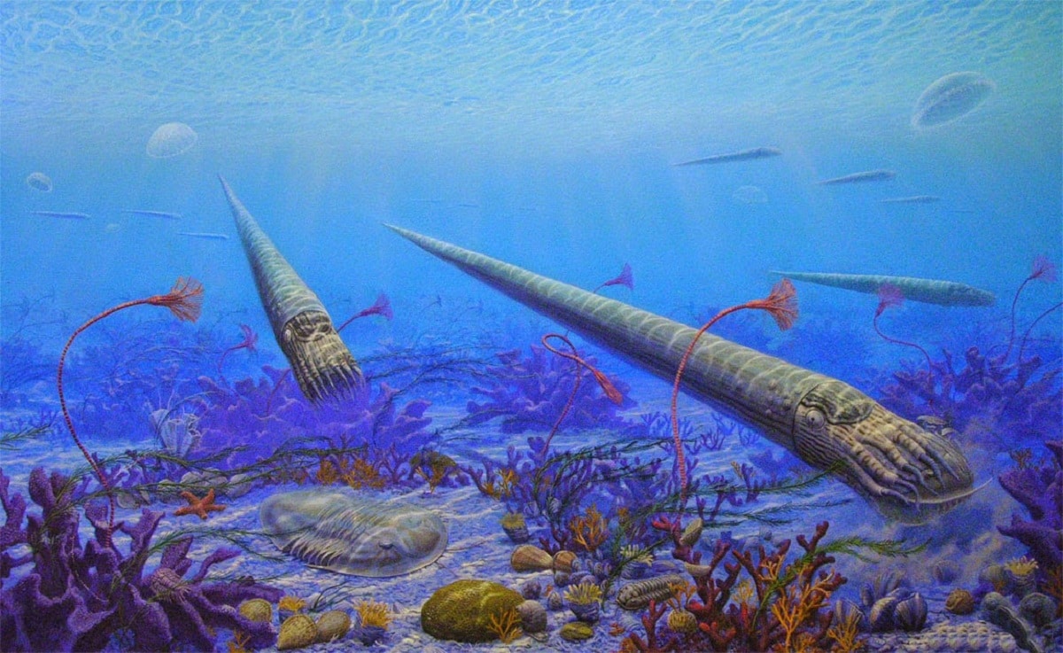 18 interesting facts about Silurian Period