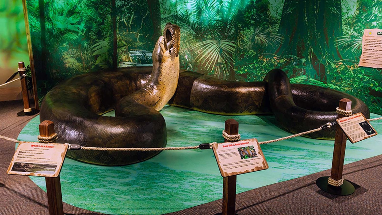 28 interesting facts about Titanoboa (prehistoric snake)