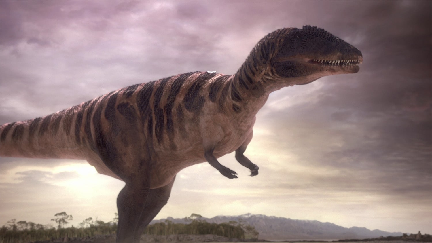 24 interesting facts about Carcharodontosaurus