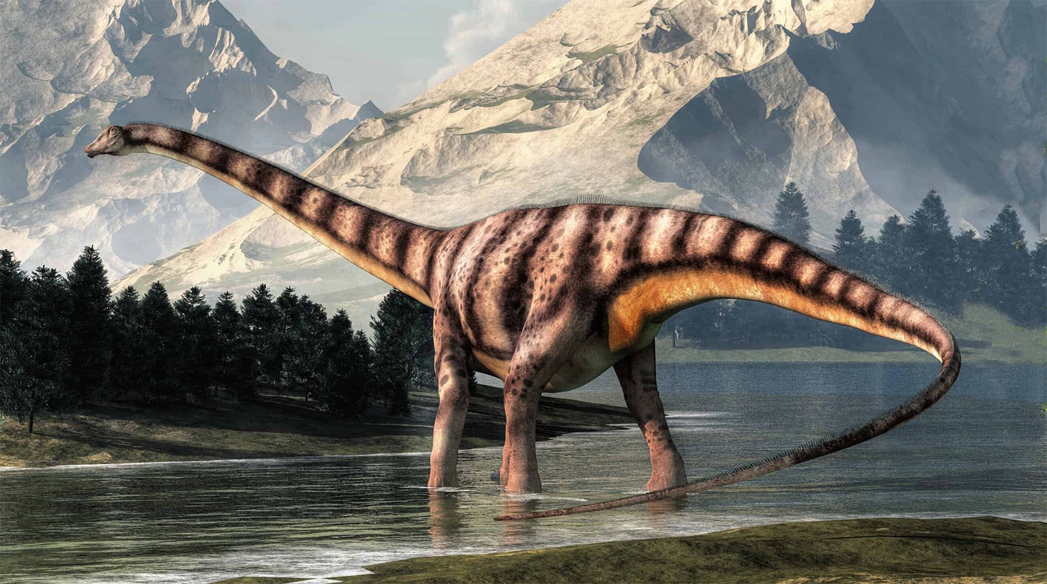 23 interesting facts about Diplodocus