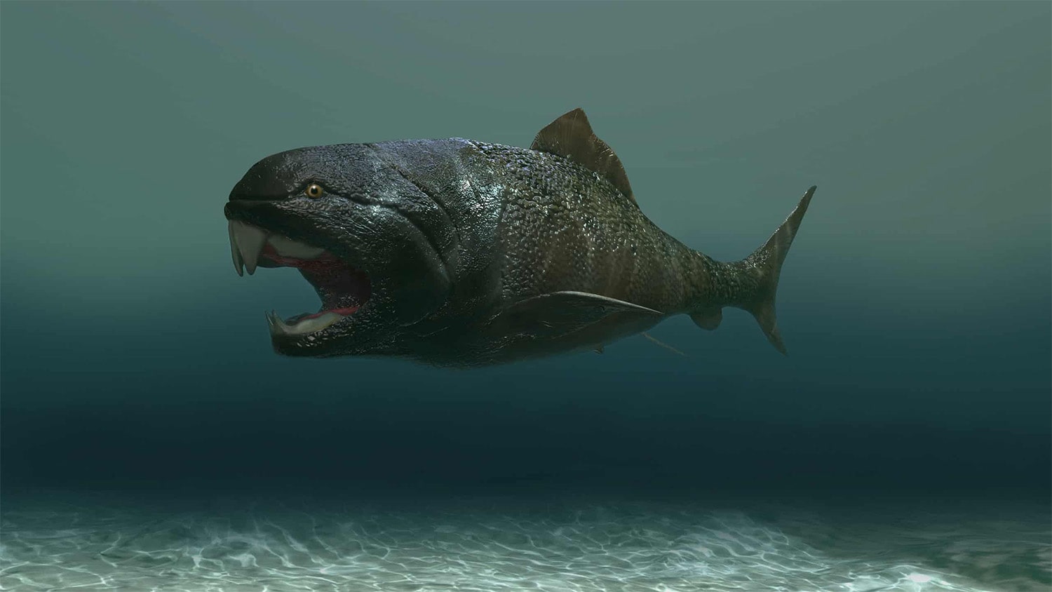 23 interesting facts about Dunkleosteus
