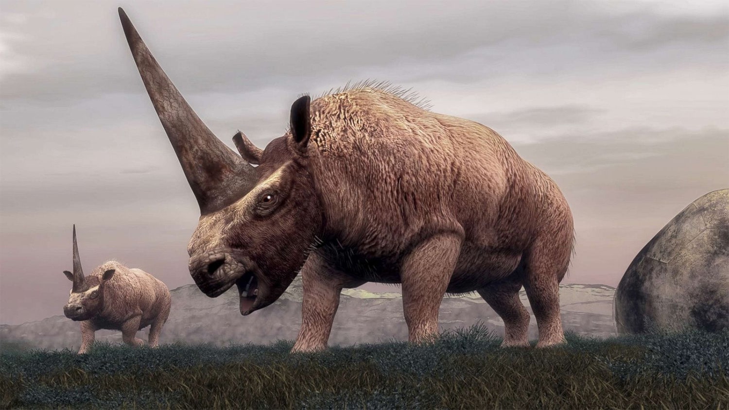 27 interesting facts about Elasmotherium (Siberian Unicorn)