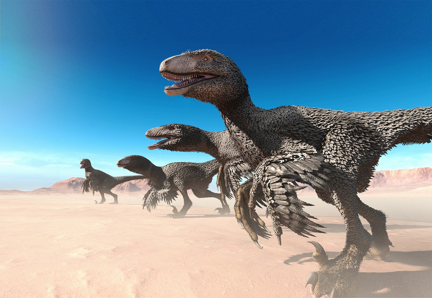 21 interesting facts about Feathered Dinosaurs
