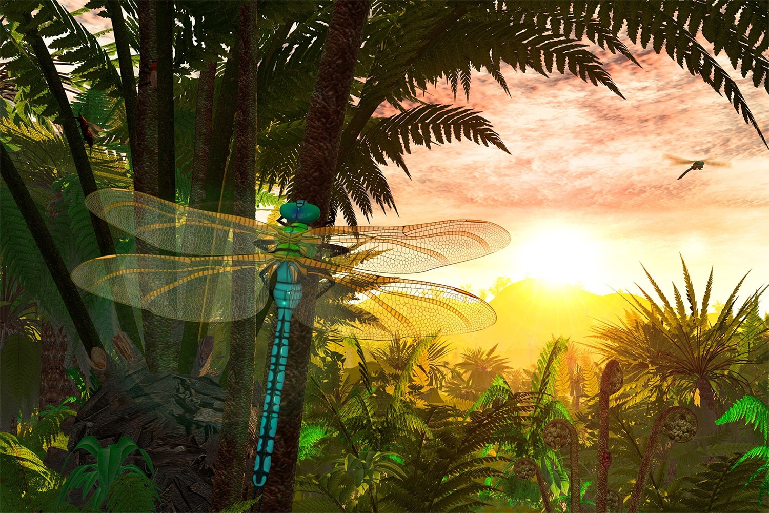 20 interesting facts about Meganeura (giant dragonfly)