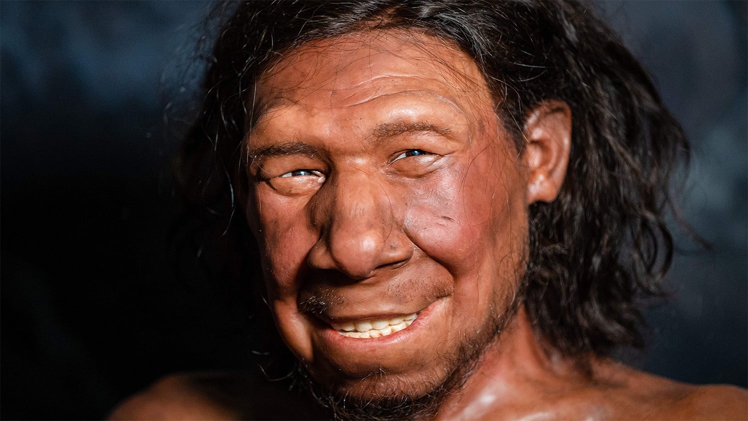 27 interesting facts about Neanderthals