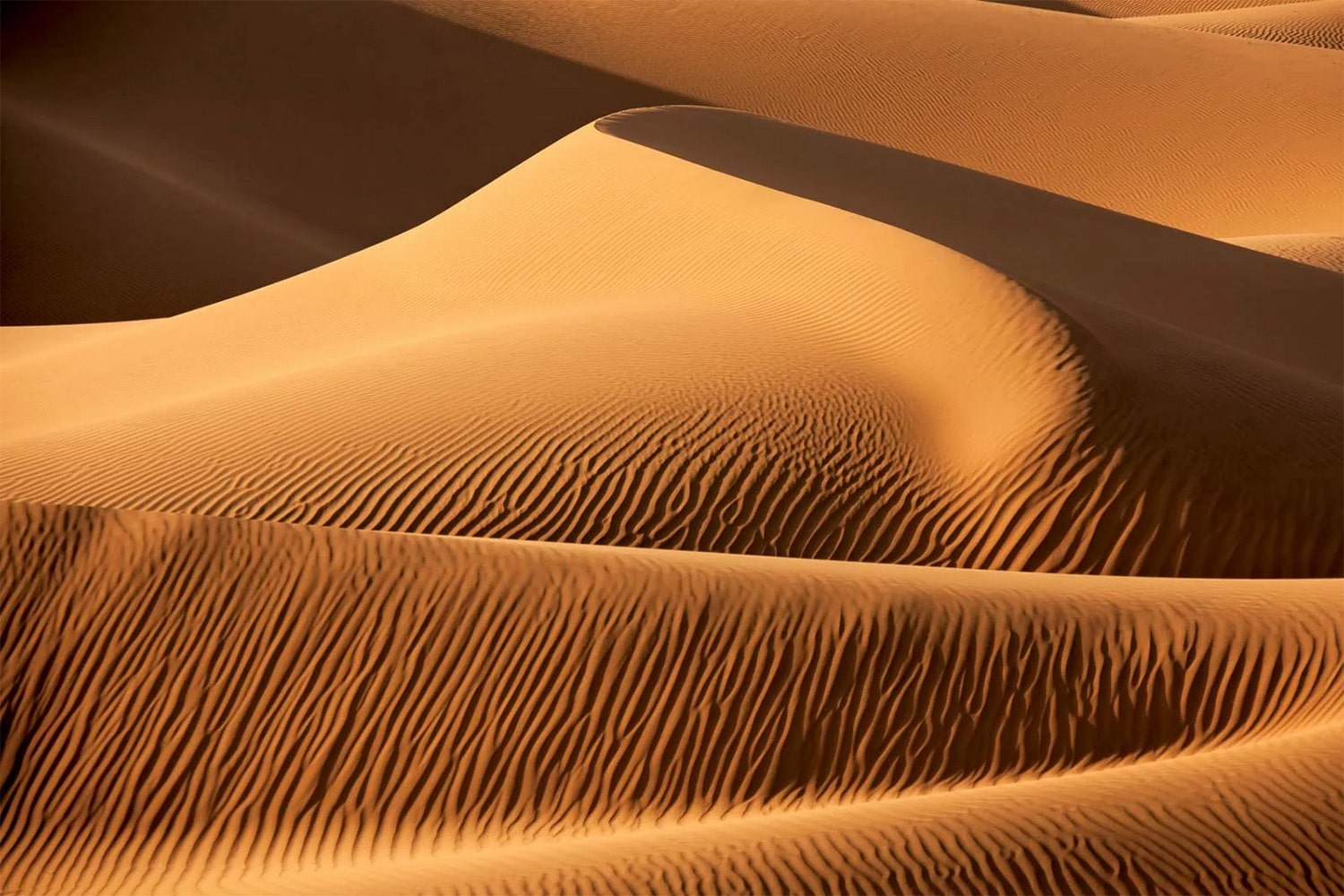 25 interesting facts about Sand dunes
