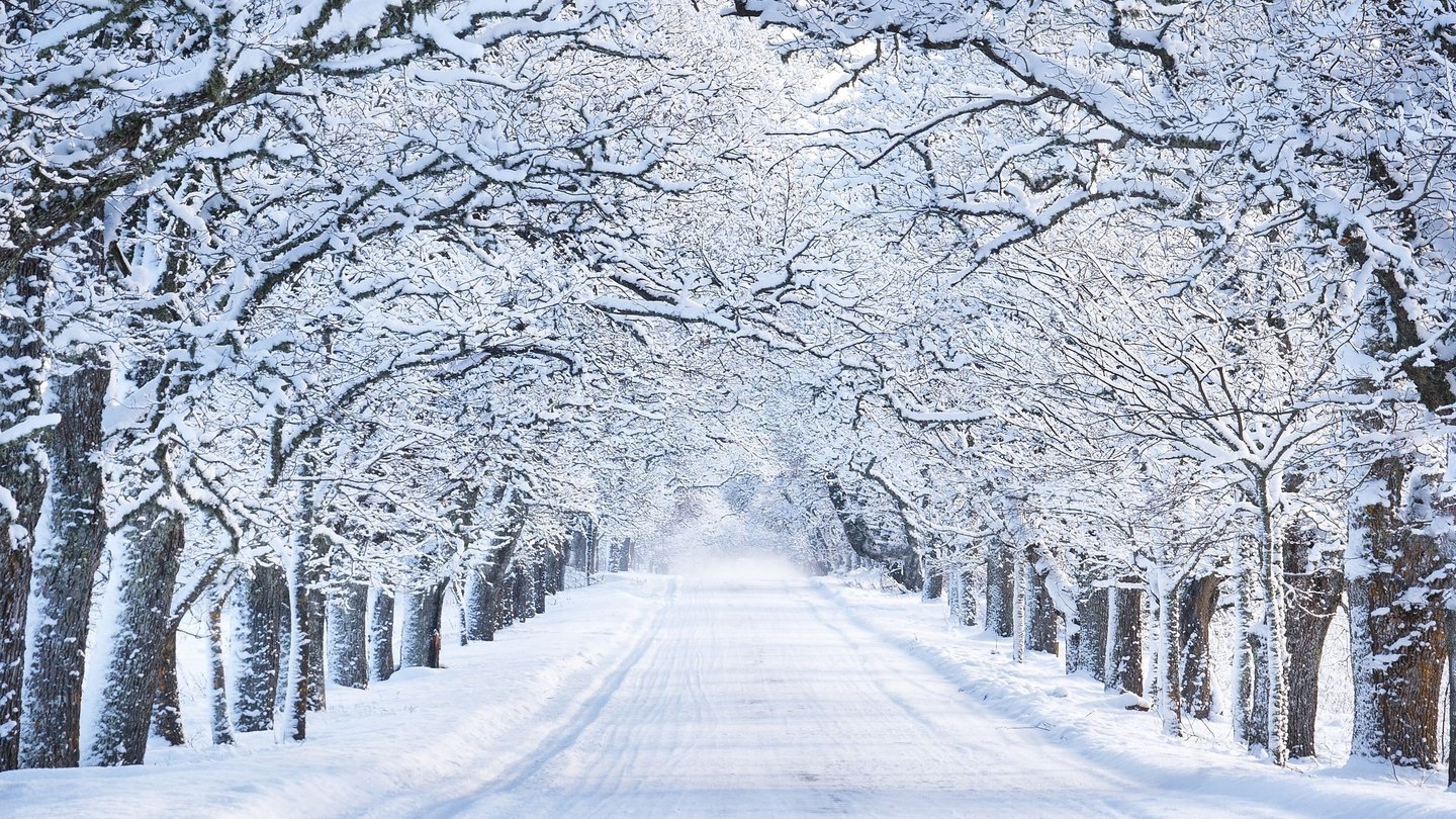 32 interesting facts about snow