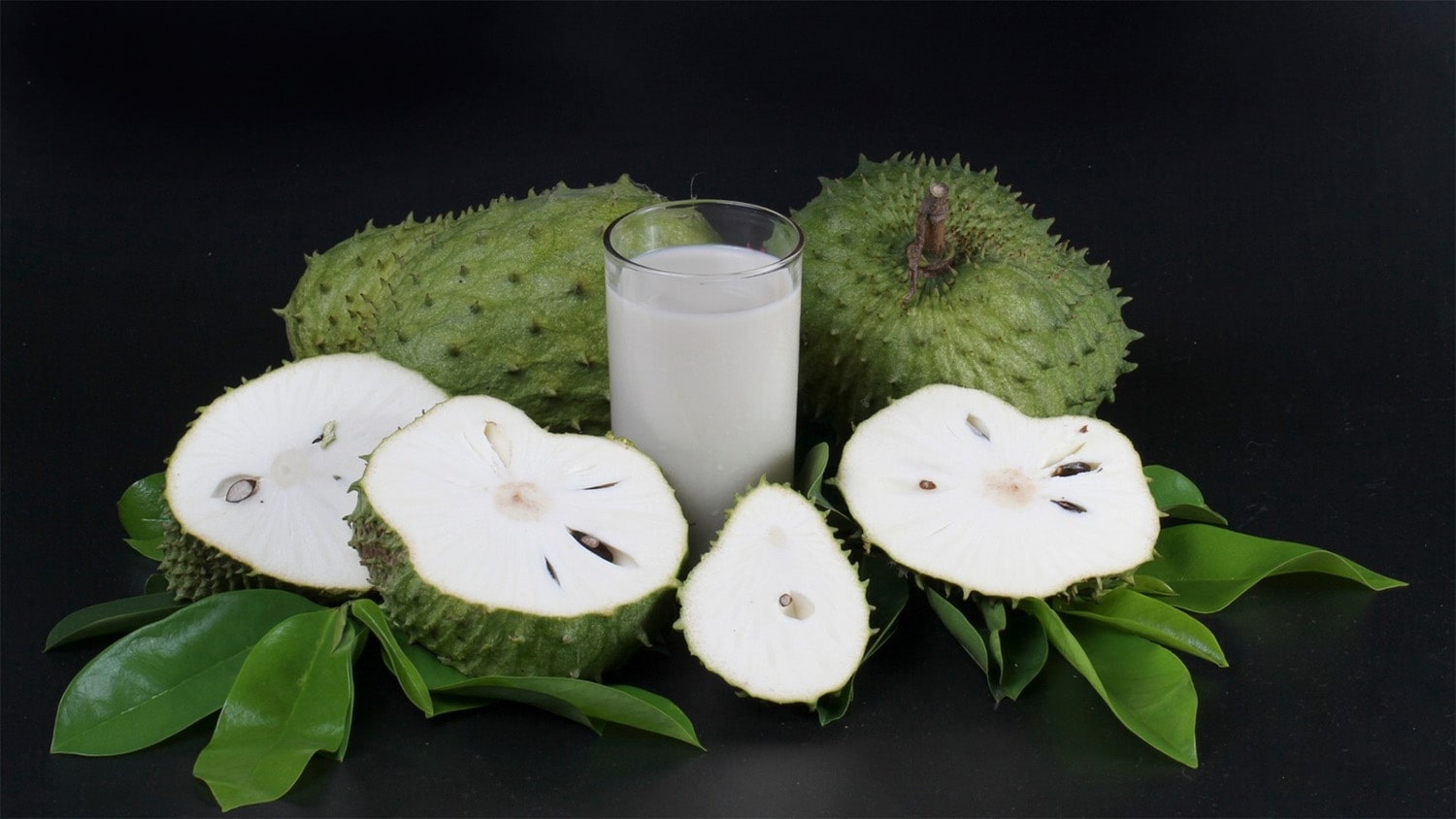 25 interesting facts about soursop